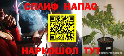 сатива Пенза