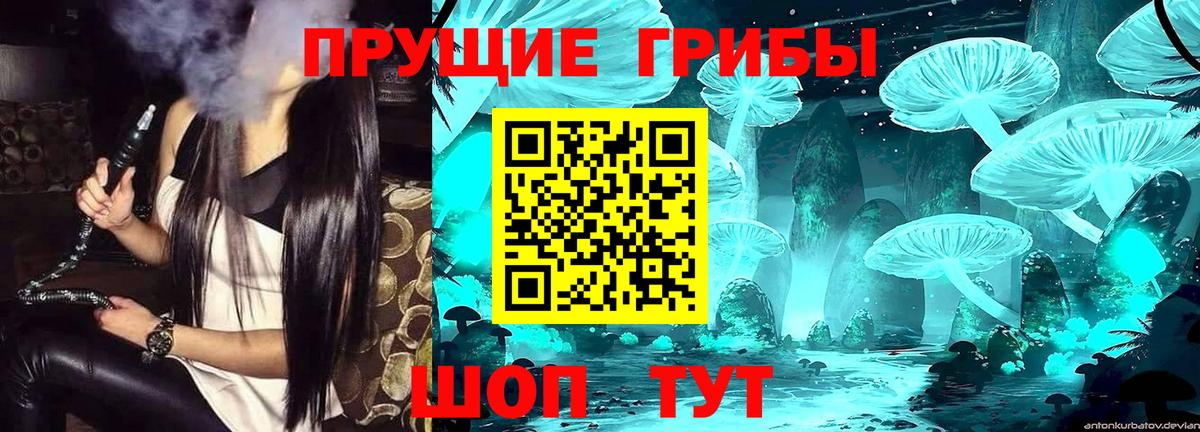 Псилоцибиновые грибы прущие грибы  Псилоцибиновые грибы Cubensis  Вход с VPN  Отрадное 